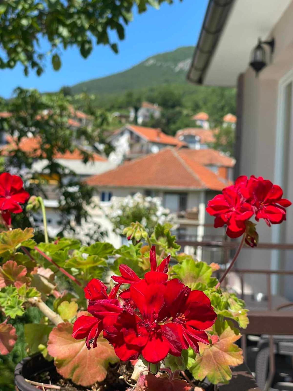 Gopo Guesthouse Elshani Eksteriør bilde