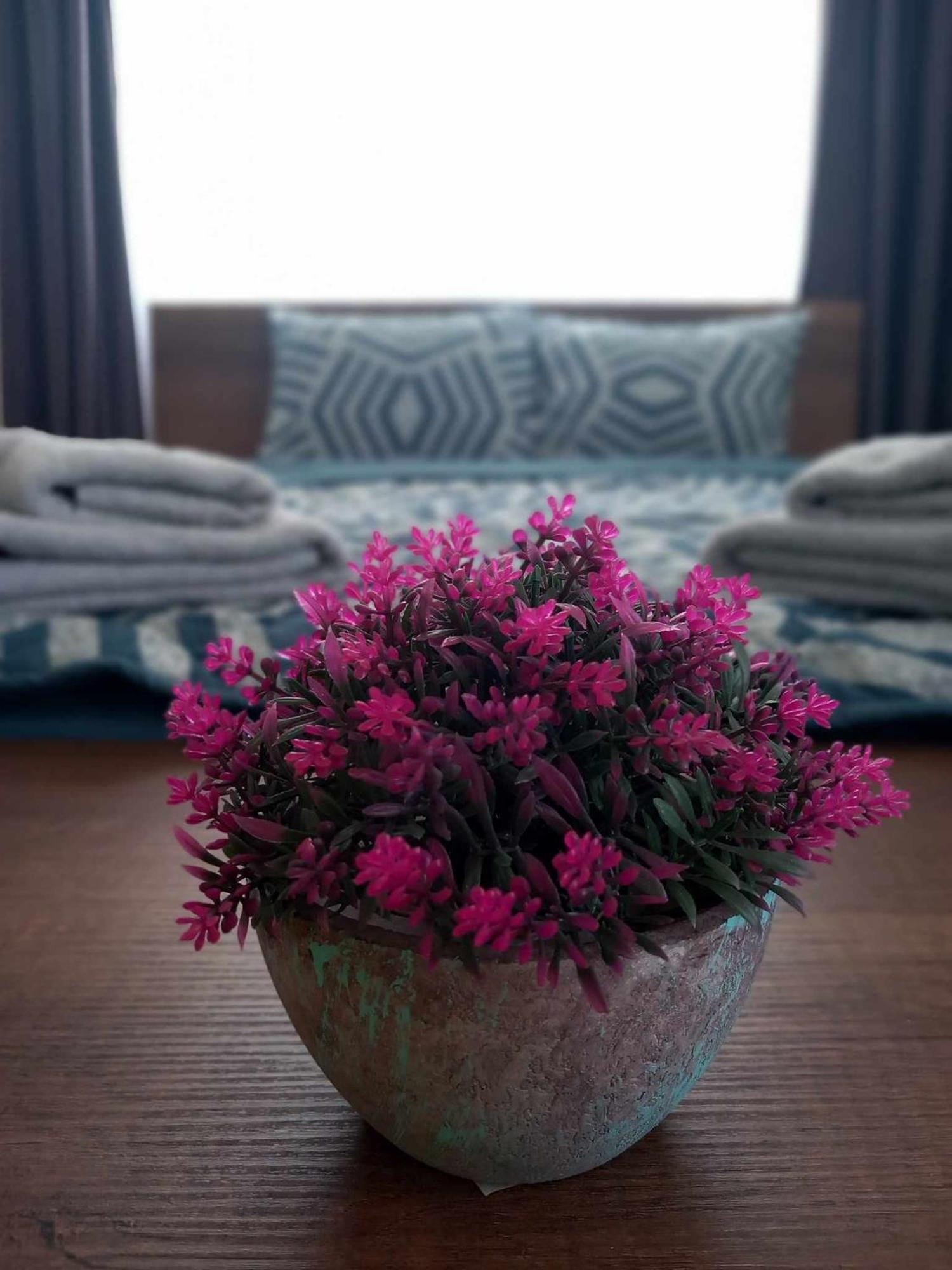Gopo Guesthouse Elshani Eksteriør bilde