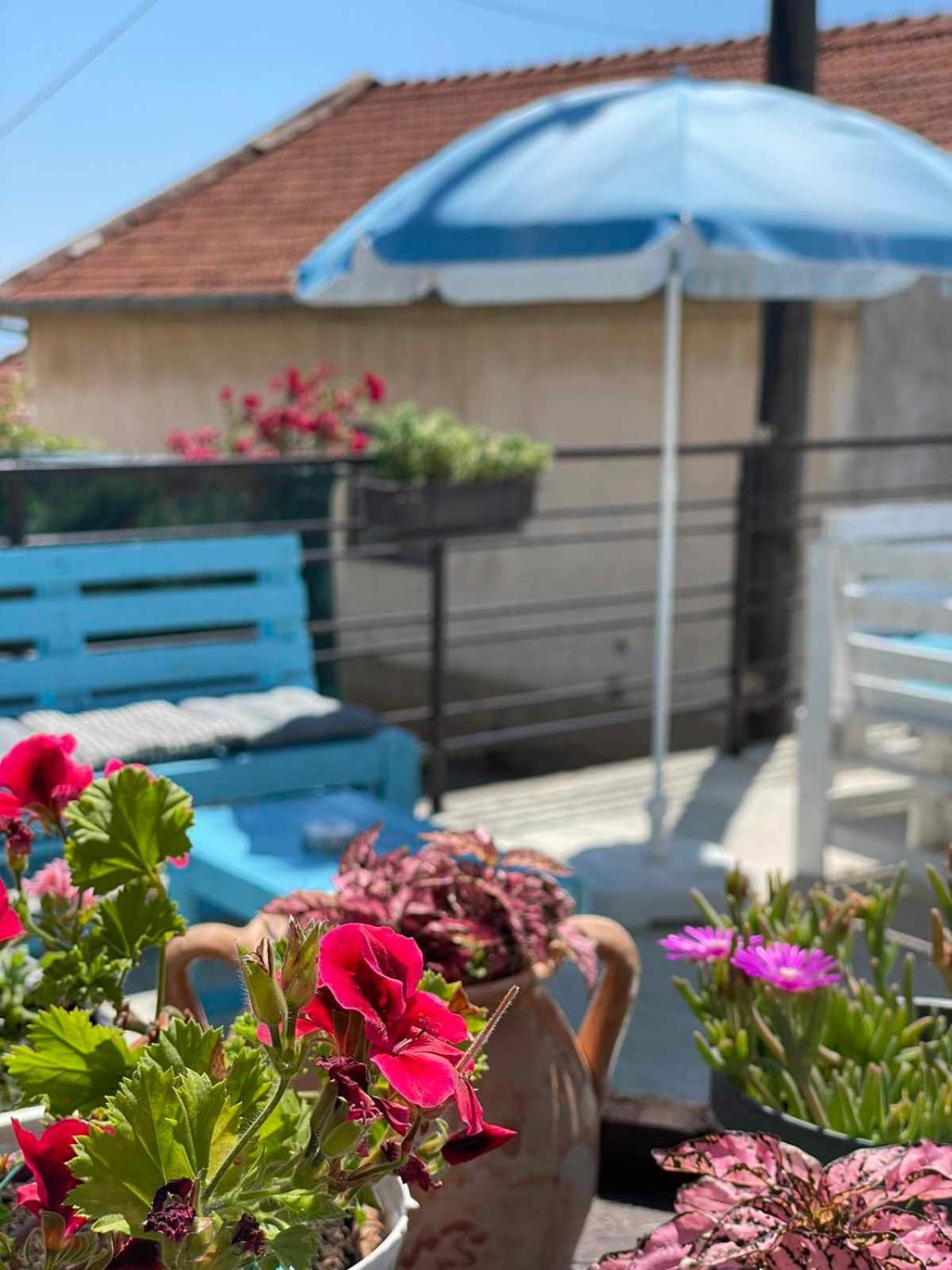 Gopo Guesthouse Elshani Eksteriør bilde